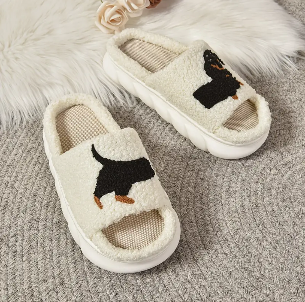 Sarah's Dach Slips