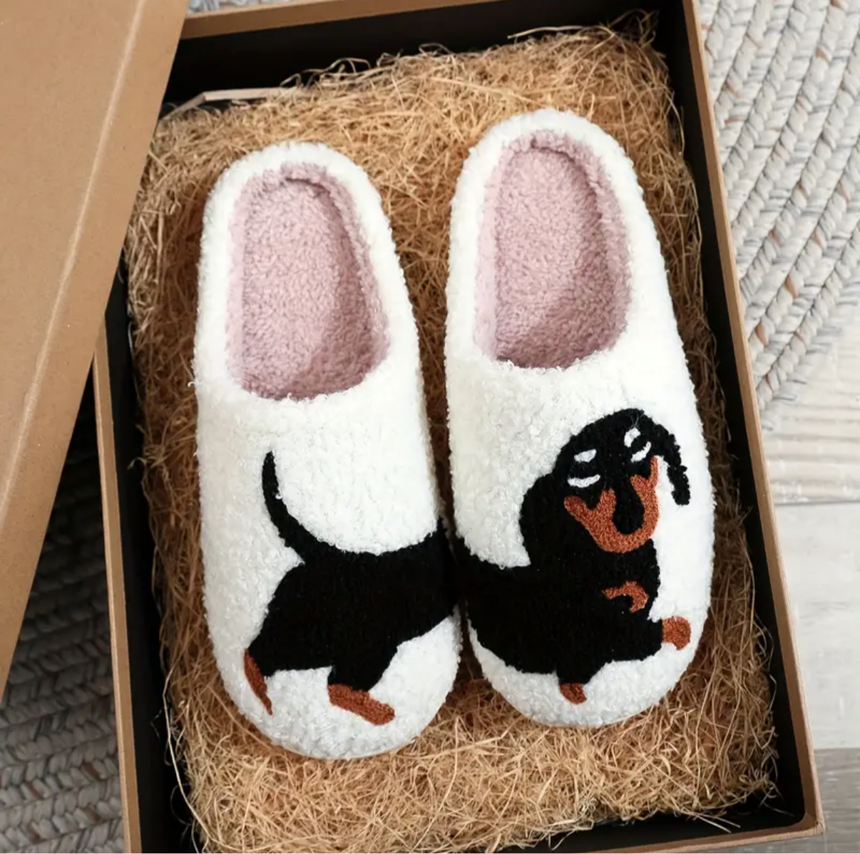Sarah's Dach Slides