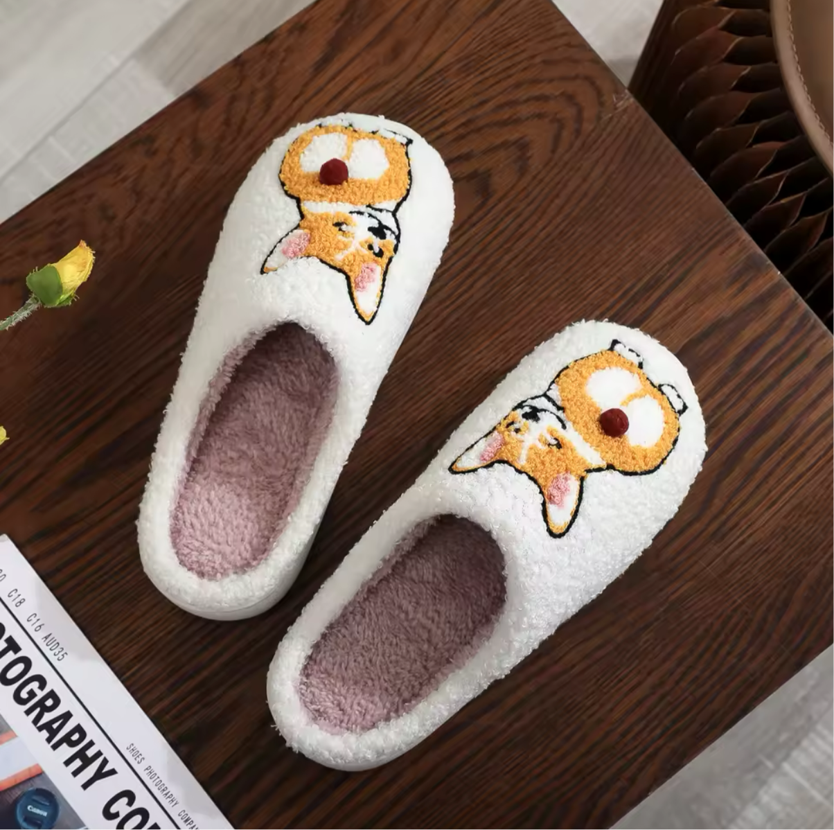 Sarah's Corgi Slides