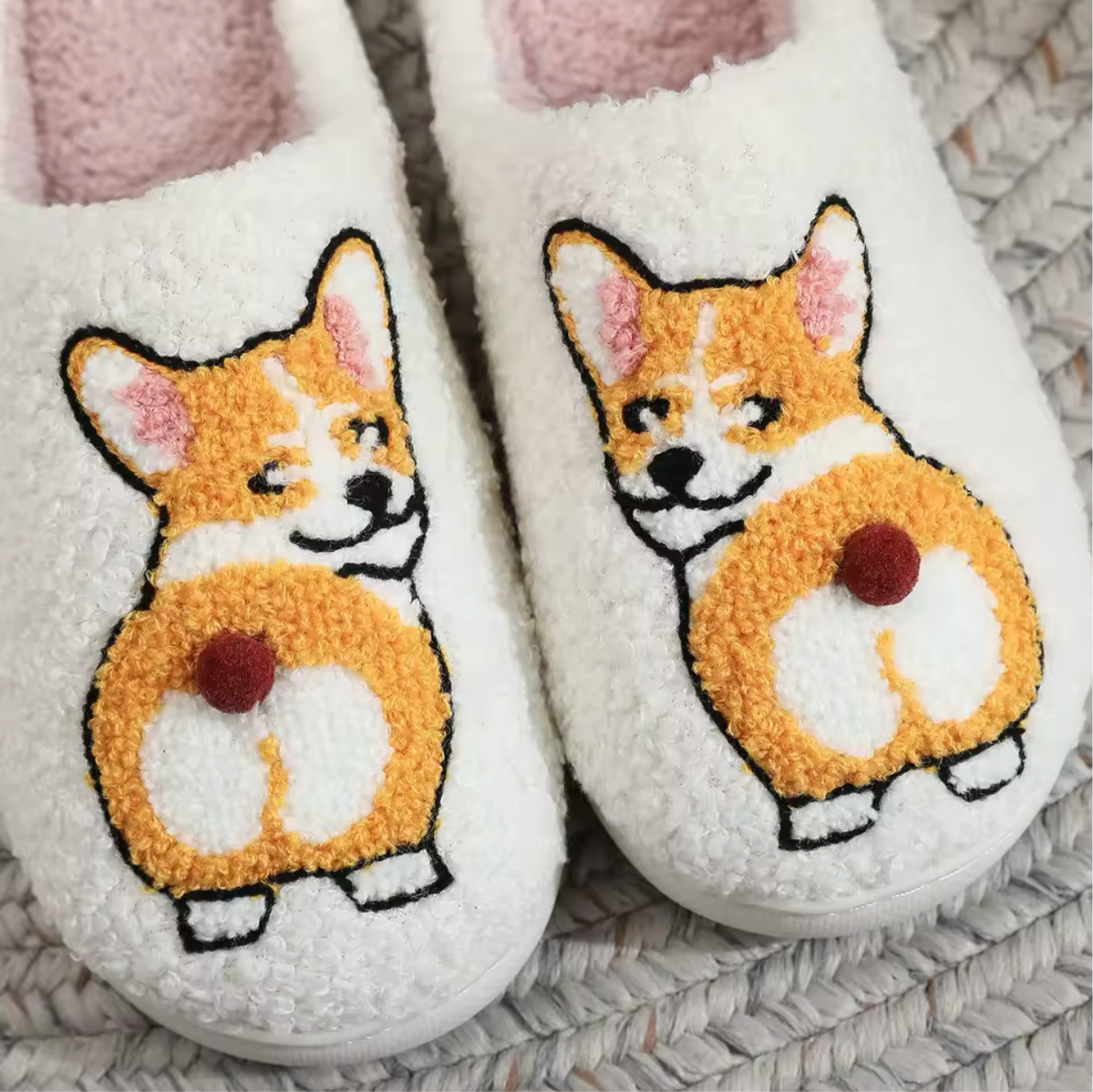 Sarah's Corgi Slides