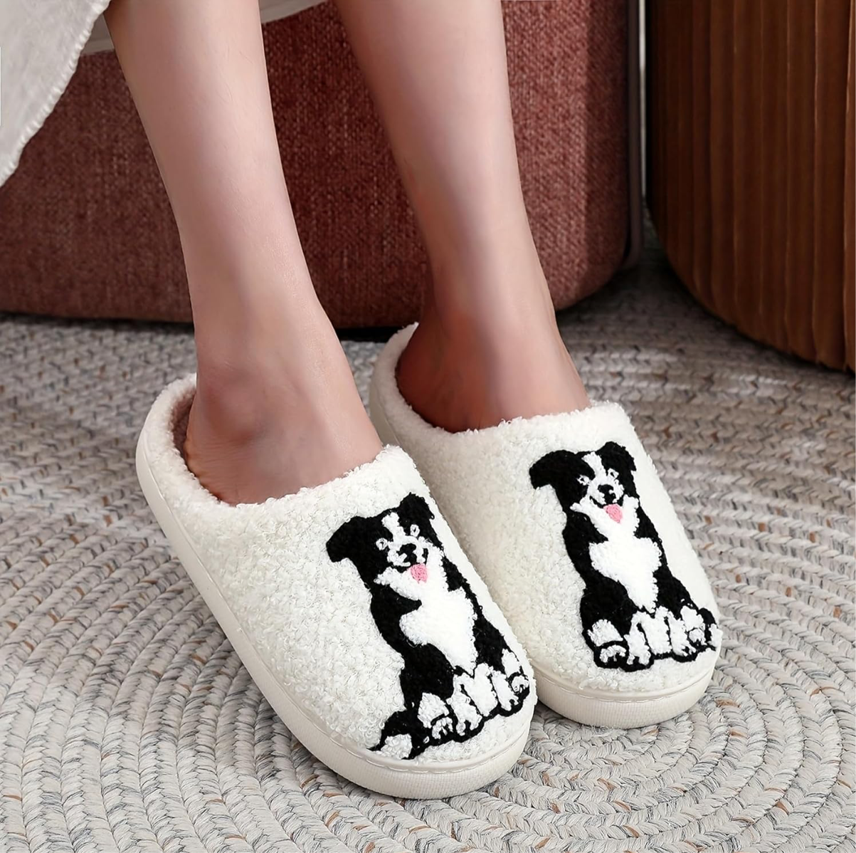 Sarah's Collie Slides