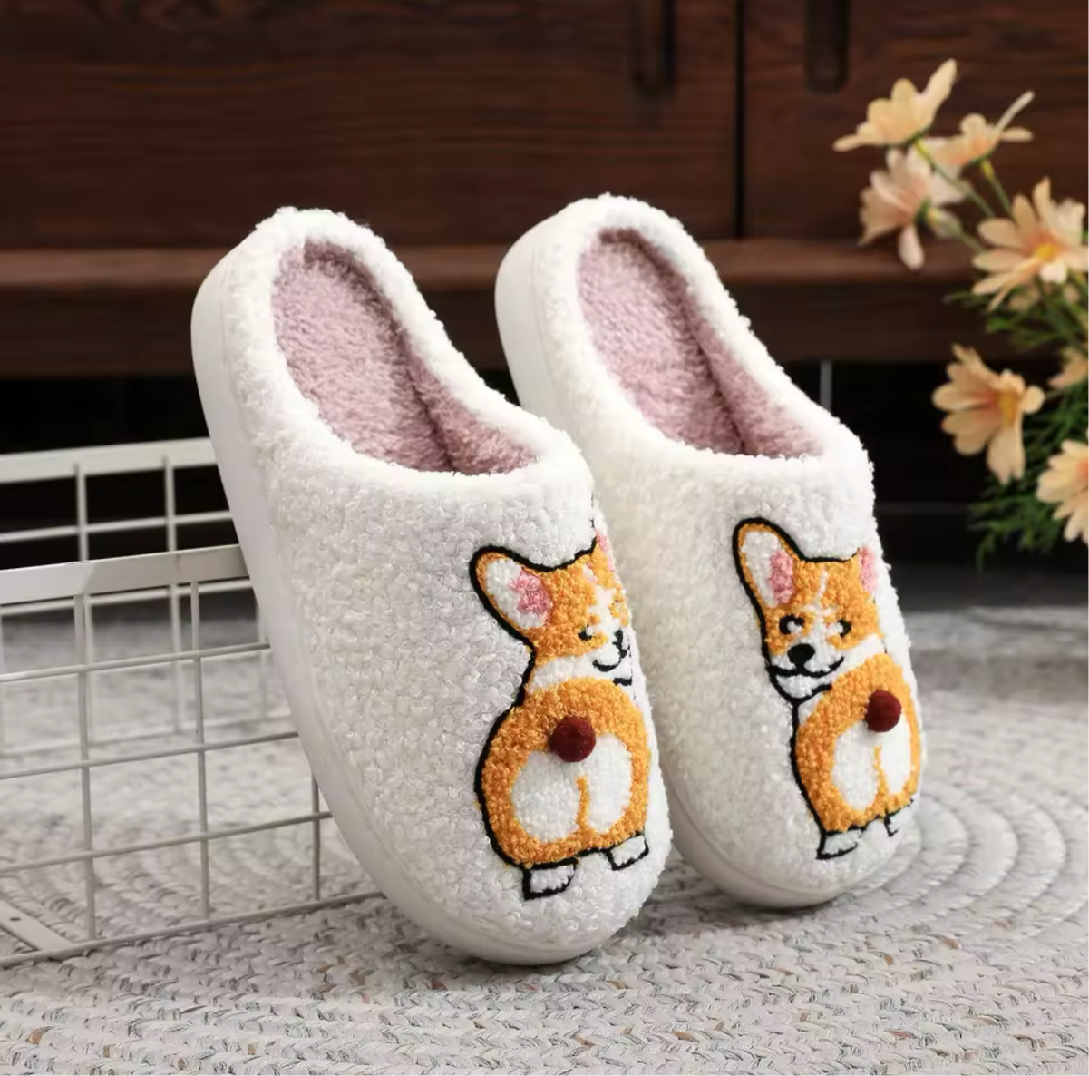 Sarah's Corgi Slides