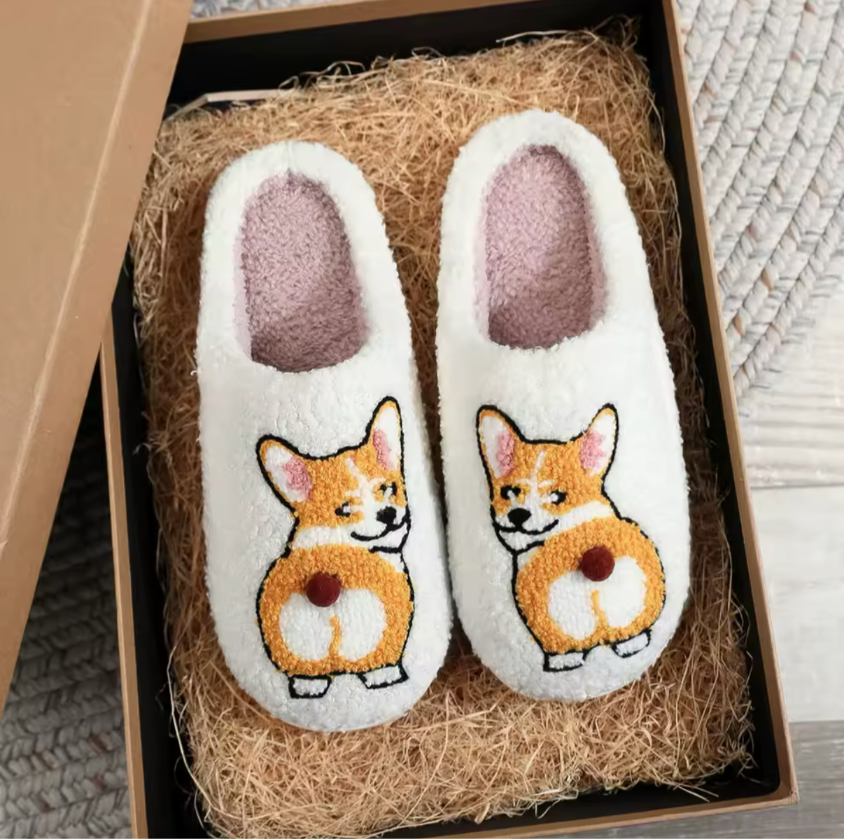 Sarah's Corgi Slides