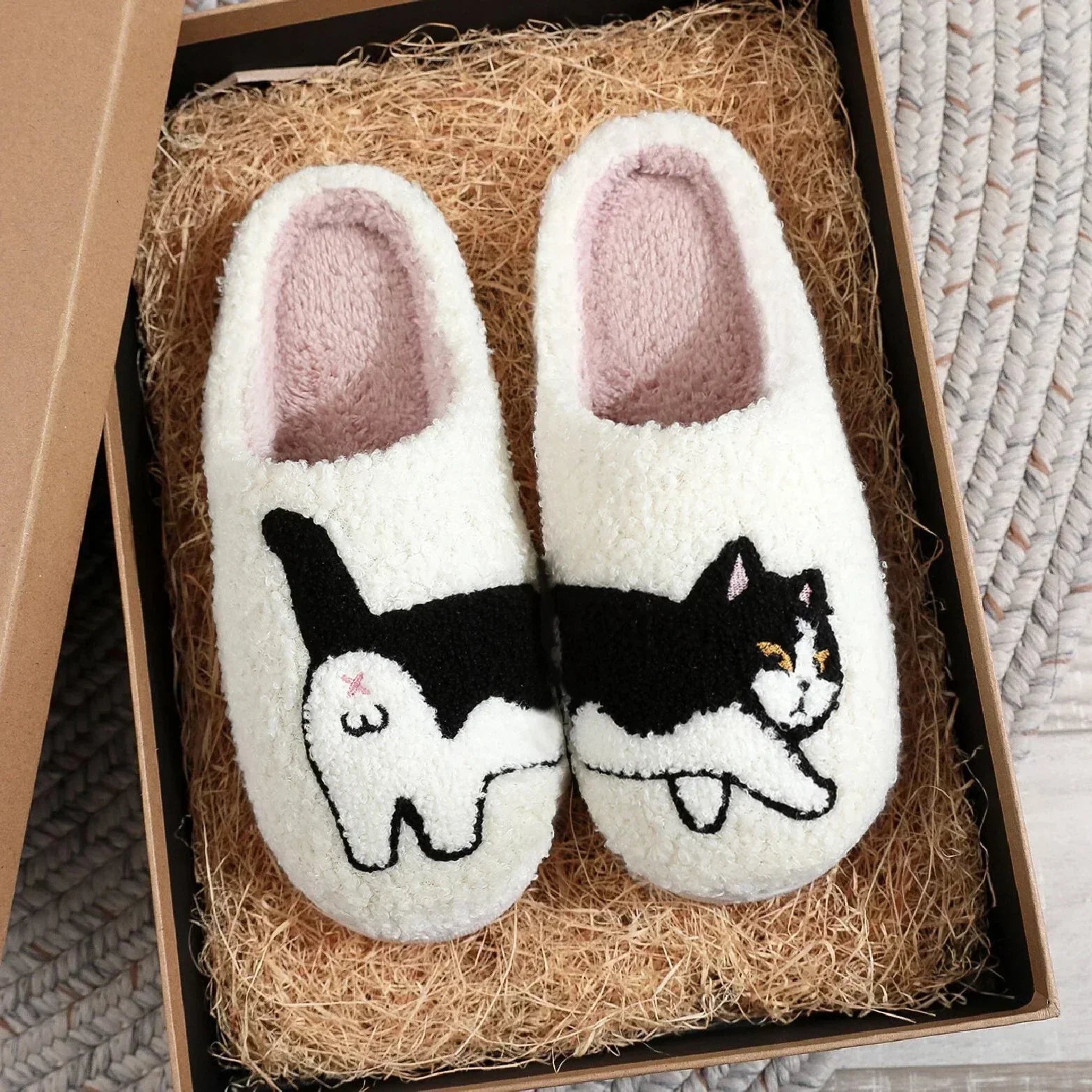 Sarah's Cat Slides