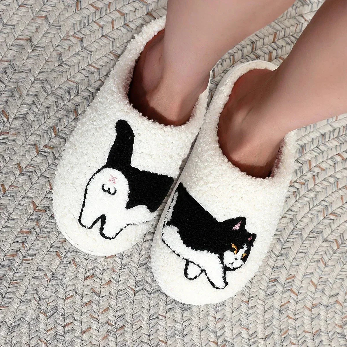 Sarah's Cat Slides
