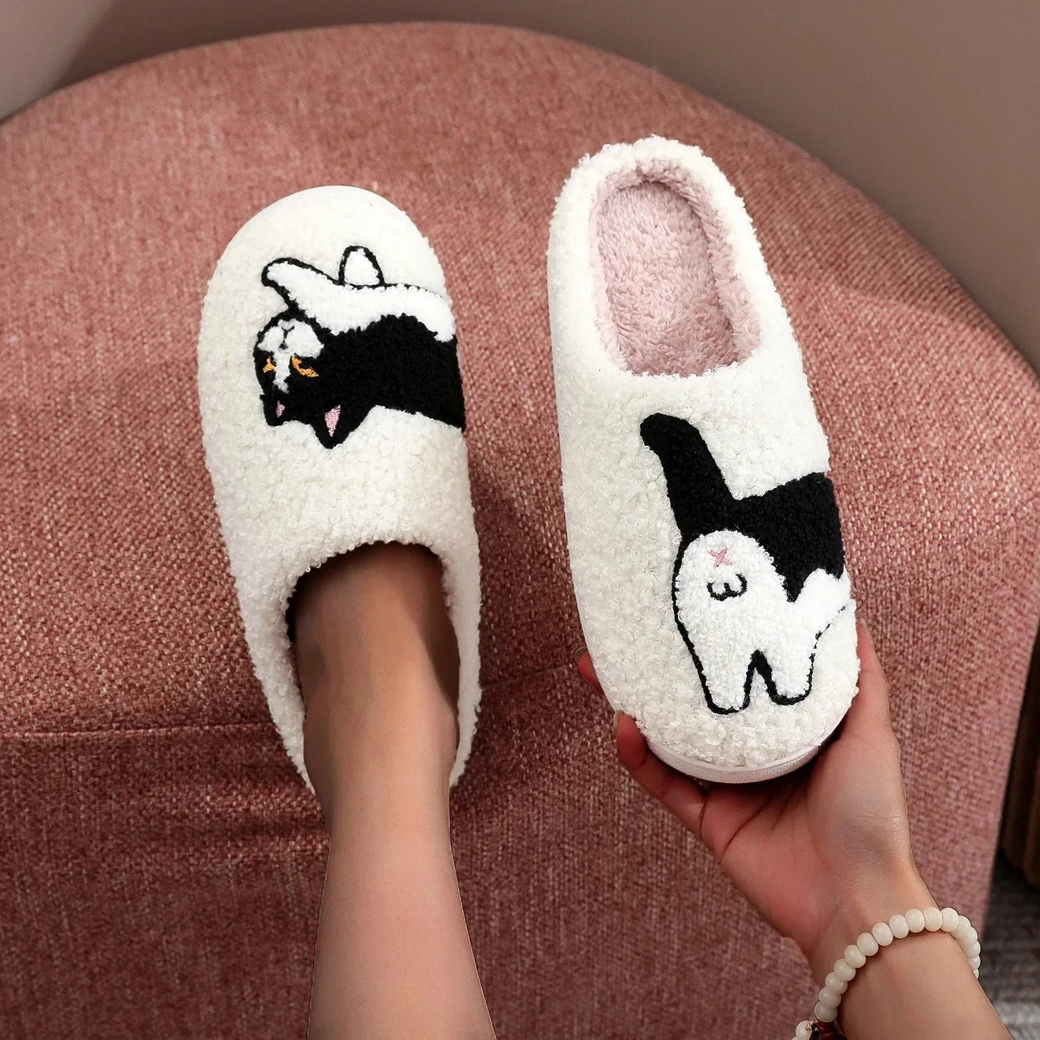 Sarah's Cat Slides
