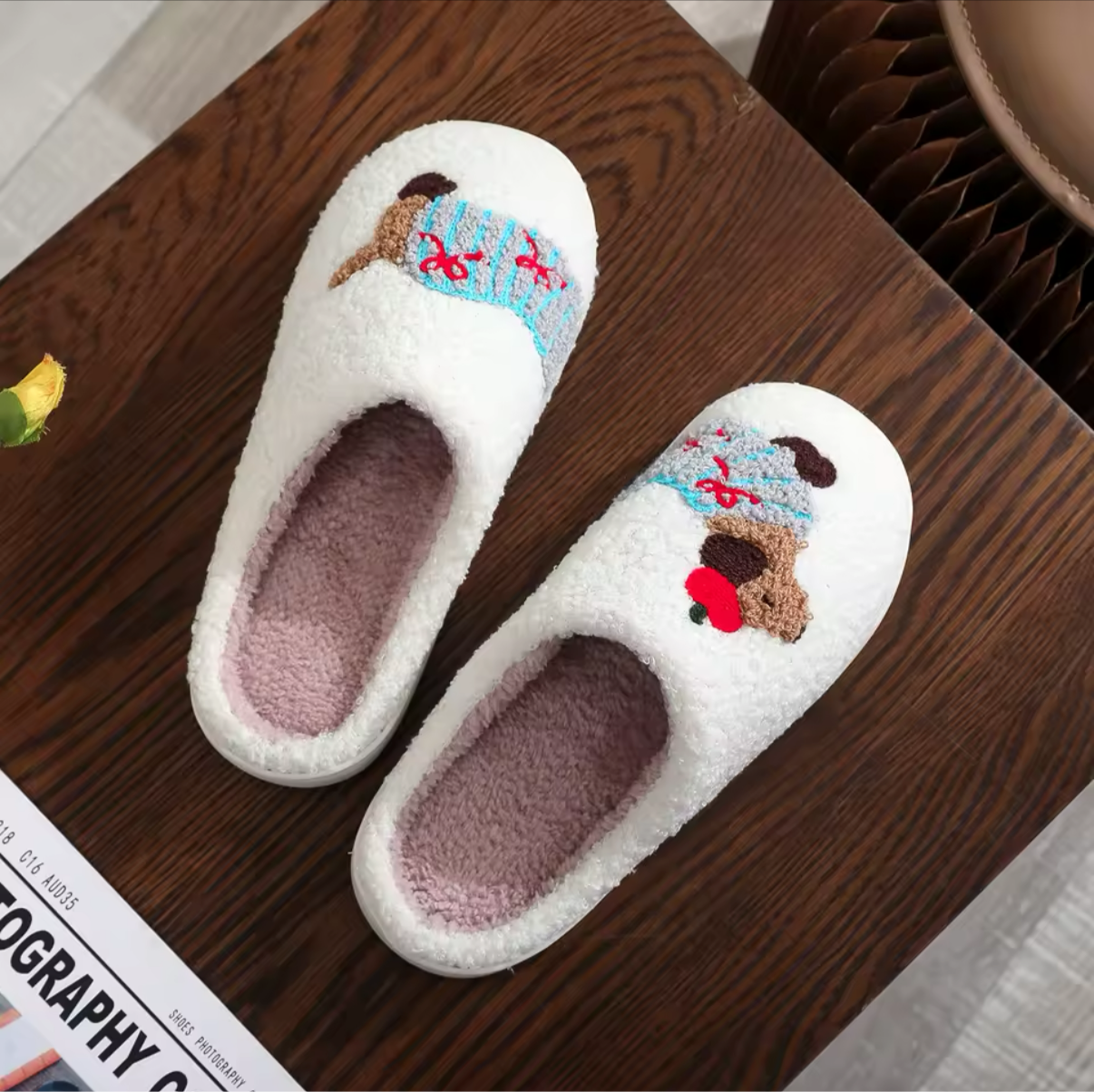 Sarah's Festive Dach Slides