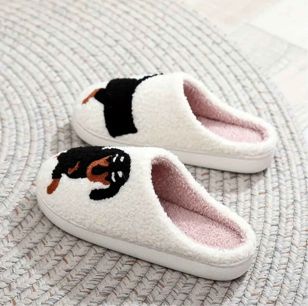 Sarah's Dach Slides