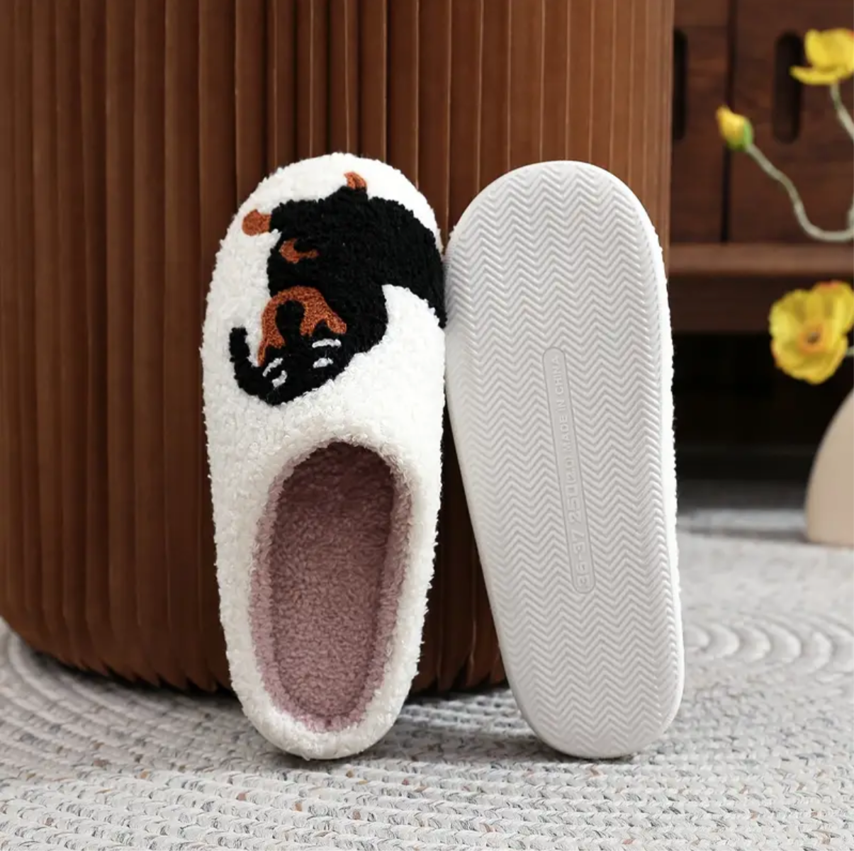 Sarah's Dach Slides