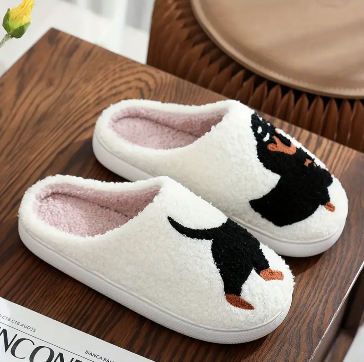 Sarah's Dach Slides