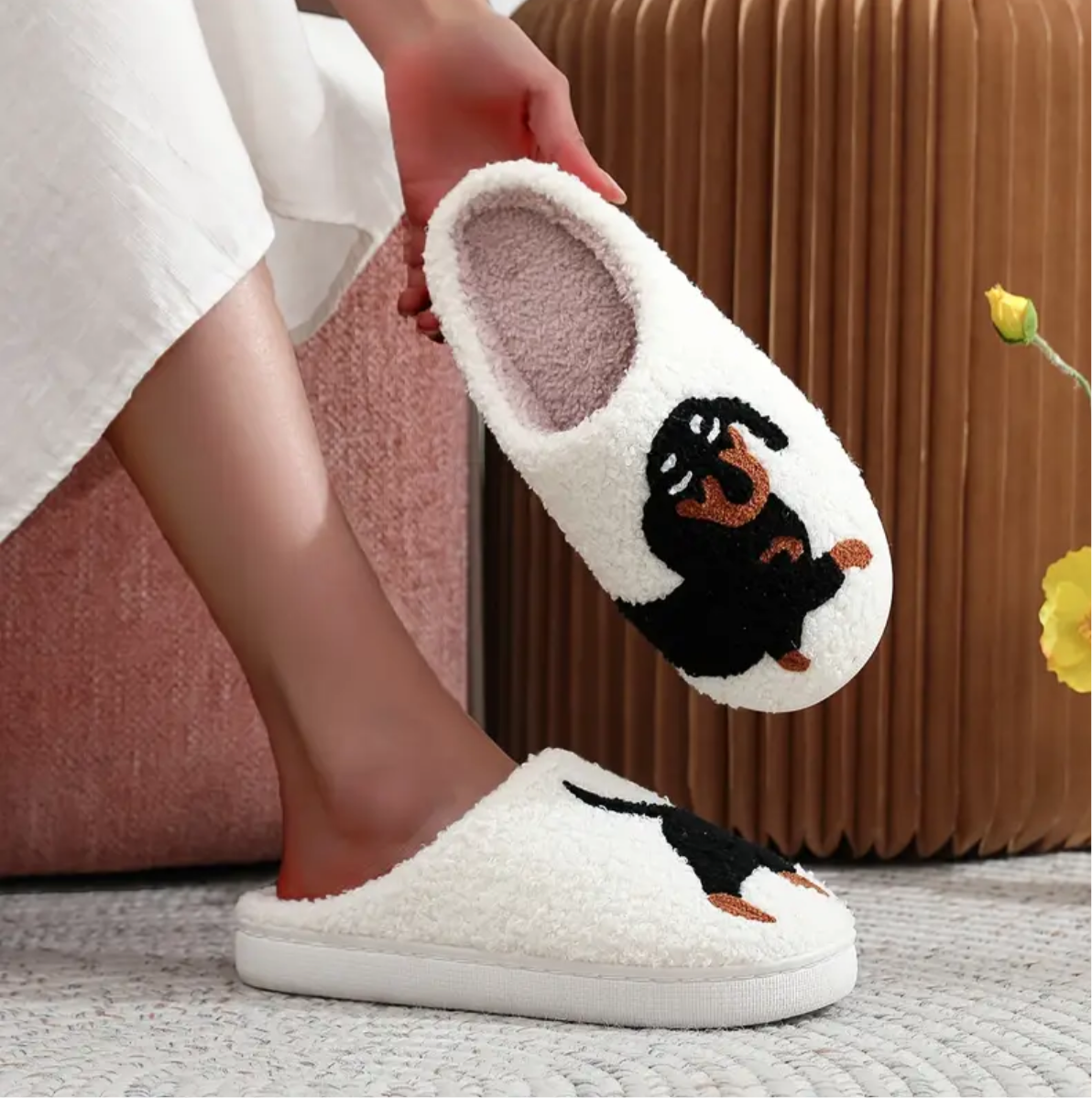 Sarah's Dach Slides