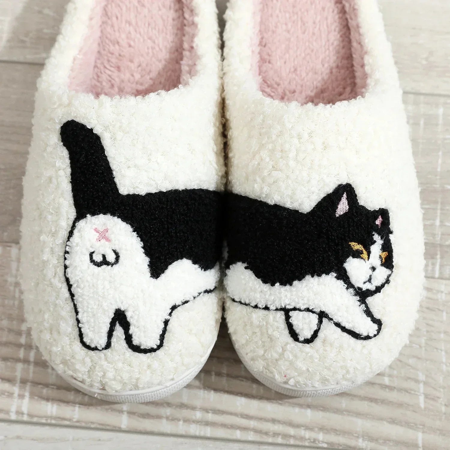 Sarah's Cat Slides